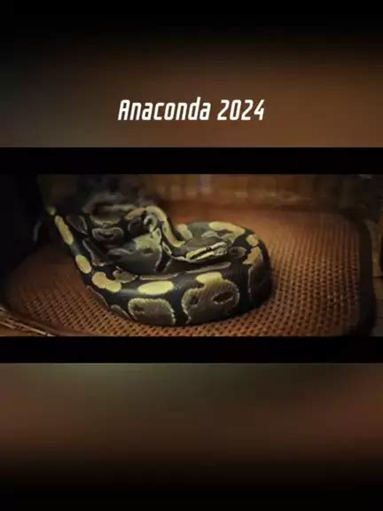 rede canais anaconda 2